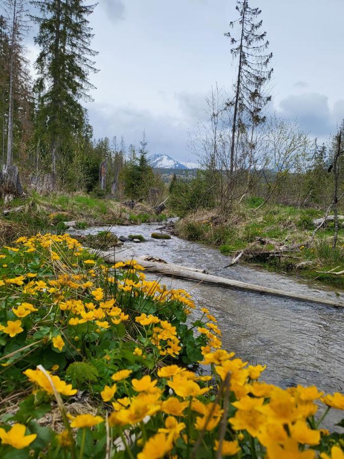 Apartment In Tatranska Strba/Near Strbske Pleso With Free Parking 外观 照片