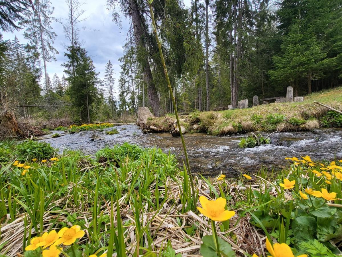 Apartment In Tatranska Strba/Near Strbske Pleso With Free Parking 外观 照片